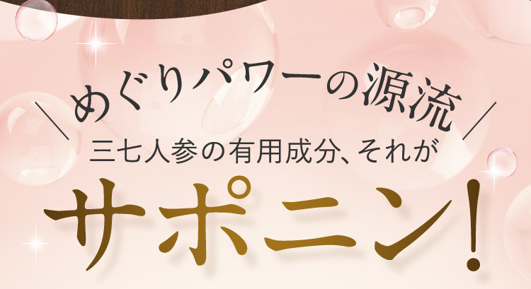 めぐりパワーの源流 三七人参の有効成分、それがサポニン!