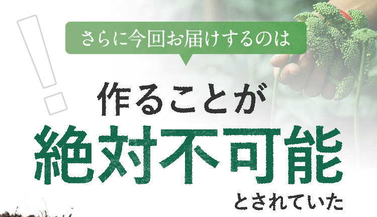 さらに今回お届けするのは作ることが絶対不可能とされていた