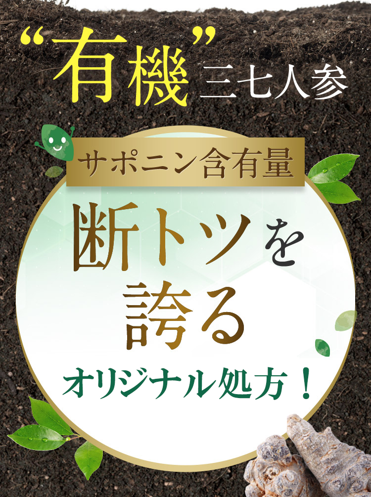 “有機”三七人参 サポニン含有量 断トツを誇る 苗郷三七ジャパンオリジナル！