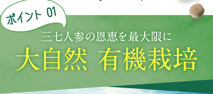 ポイント01 三七人参の恩恵を最大限に 大自然 有機栽培